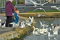 15 03 00_0812_edited-1